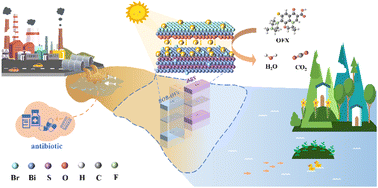 Graphical abstract: Plasma lattice-matched interfacial engineering enables boosted photocatalytic O2 activation for antibiotic degradation