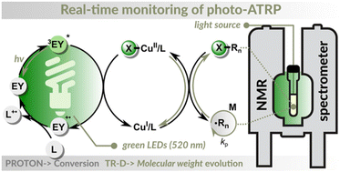 Graphical abstract: Real-time monitoring of photoinduced atom transfer radical polymerization by time-resolved diffusion NMR