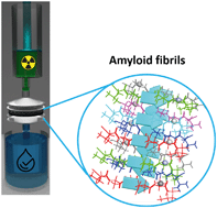 Graphical abstract: Amyloid hybrid membranes for removal of clinical and nuclear radioactive wastewater