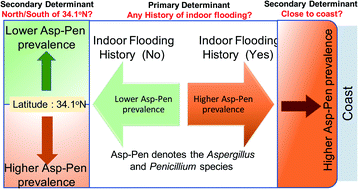 Graphical abstract: Increased prevalence of indoor Aspergillus and Penicillium species is associated with indoor flooding and coastal proximity: a case study of 28 moldy buildings