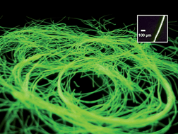 Graphical abstract: Synthesis and dry-spinning fibers of sulfinyl-based poly(p-phenylene vinylene) (ppv) for semi-conductive textile applications