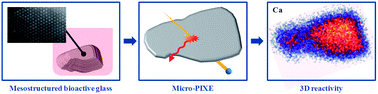 Graphical abstract: Influence of mesostructuration on the reactivity of bioactive glasses in biological medium: a PIXE-RBS study