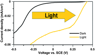 Graphical abstract: Conducting polymer alloys for photo-enhanced electro-catalytic oxygen reduction