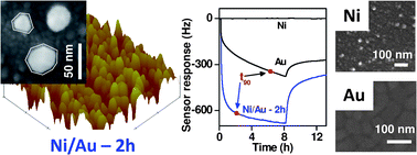 Graphical abstract: Mercury vapor sensor enhancement by nanostructured gold deposited on nickel surfaces using galvanic replacement reactions