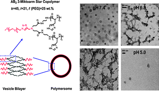 Graphical abstract: Biocompatible, pH-sensitive AB2 miktoarm polymer-based polymersomes: preparation, characterization, and acidic pH-activated nanostructural transformation