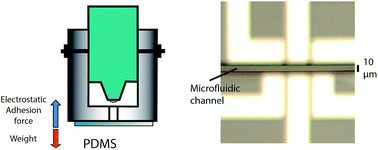Graphical abstract: A simple and inexpensive technique for PDMS/silicon chip alignment with sub-μm precision