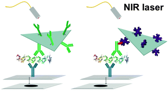 Graphical abstract: Plasmonic-driven thermal sensing: ultralow detection of cancer markers
