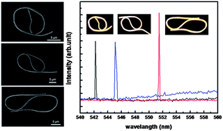 Graphical abstract: Single-mode lasing of nanowire self-coupled resonator