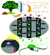 Graphical abstract: Hierarchically structured catalysts for cascade and selective steam reforming/hydrodeoxygenation reactions