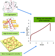 Graphical abstract: The use of plants as a “green factory” to produce high strength gluten-based materials