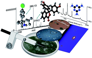 Graphical abstract: Analysis of trace amounts of adulterants found in powders/supplements utilizing Raman spectroscopy coupled to direct analyte-probed nanoextraction-nanospray ionization-mass spectrometry
