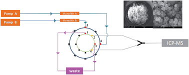 Graphical abstract: Monolithic capillary microextraction on-line combined with ICP-MS for determining Ni, Cu and Cd in biological samples