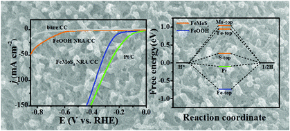 Graphical abstract: An amorphous FeMoS4 nanorod array toward efficient hydrogen evolution electrocatalysis under neutral conditions