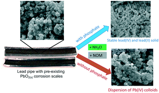 Graphical abstract: Preventing the colloidal dispersion of Pb(iv) corrosion scales and lead release in drinking water distribution systems