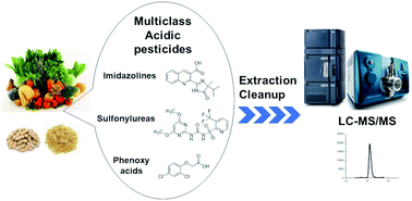 Graphical abstract: Multiresidue method for determining multiclass acidic pesticides in agricultural foods by liquid chromatography-tandem mass spectrometry