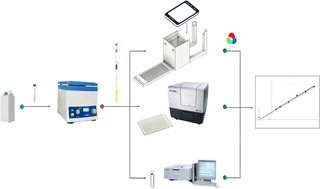 Graphical abstract: Microplate-based 3D-printed image box for urea determination in milk by digital image colorimetry