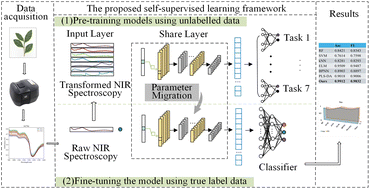 Graphical abstract: A CNN-based self-supervised learning framework for small-sample near-infrared spectroscopy classification