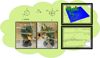 Graphical abstract: Discovery of chlorine exposure signatures in plant material using targeted and comparative mass spectrometry methods