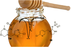 Graphical abstract: Chemometric-assisted electrochemical sensor for simultaneous determination of neonicotinoids imidacloprid and thiamethoxam in honey samples