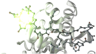 Graphical abstract: Luminescent lanthanide metallopeptides for biomolecule sensing and cellular imaging