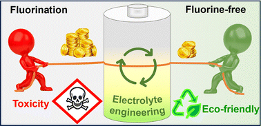 Graphical abstract: Fluorine-free electrolytes in batteries: principles, strategies, and advances
