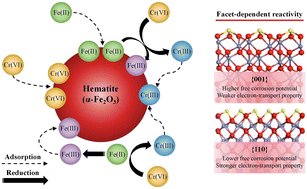 Graphical abstract: Facet-dependent hematite reactivity in Cr(vi) removal with Fe(ii)