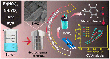 Graphical abstract: Facile synthesis of erbium vanadate nanoribbons for electrochemical detection of 4-nitrotoluene