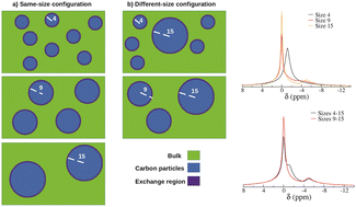 Graphical abstract: Investigating the effect of particle size distribution and complex exchange dynamics on NMR spectra of ions diffusing in disordered porous carbons through a mesoscopic model
