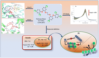 Graphical abstract: Design, synthesis and mechanistic insights into triclosan derived dimers as potential anti-plasmodials