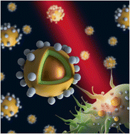 Graphical abstract: Rational control of combined photothermal and photodynamic therapy for effective eradication of biofilms