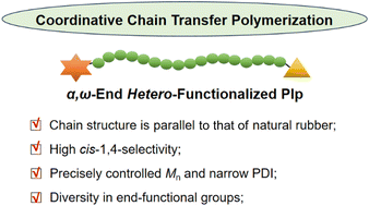 Graphical abstract: Synthesis of α,ω-end hetero-functionalized polyisoprene via neodymium-mediated coordinative chain transfer polymerization