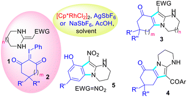 Graphical abstract: Rh(iii)-catalyzed regioselective C–H activation/[3 + 2] cyclization of KHAs with iodonium ylides accessing pyrimido[1,2-a]indole derivatives