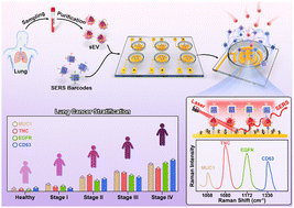 Graphical abstract: An innovative electrohydrodynamics-driven SERS platform for molecular stratification and treatment monitoring of lung cancer
