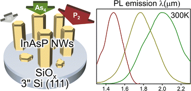 Graphical abstract: Self-induced MBE-grown InAsP nanowires on Si wafers for SWIR applications