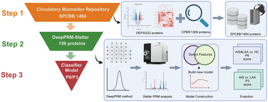Graphical abstract: High-throughput DeepPRM-Stellar proteomics coupled with machine learning enables precise quantification of atherosclerosis-stroke progression biomarkers and risk prediction
