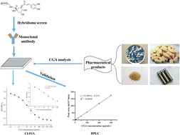 Graphical abstract: Development of chemiluminescence enzyme immunoassay (CLEIA) for the determination of chlorogenic acid in pharmaceutical products