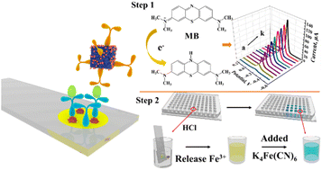 Graphical abstract: Dual-mode electrochemical–colorimetric immunosensor based on an integrated FeOOH–Au–MB probe for sensitive procalcitonin detection
