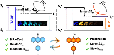 Graphical abstract: Multichannel afterglow regulated by protonation-induced reversed intersystem crossing