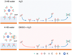 Graphical abstract: Electrolyte engineering regulating the interfacial water structure of Cu2O catalysts to promote electrochemical C–C coupling reactions