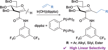 Graphical abstract: Iridium-catalysed direct C–H alkylation of sugar derivatives with alkenes