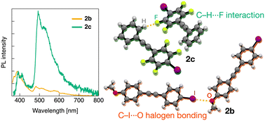 Graphical abstract: Interplay of C–H⋯F and halogen bonding interactions for tunable room-temperature phosphorescence in iododiphenylacetylene systems