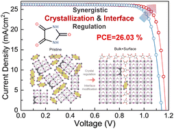 Graphical abstract: One-stone-two-birds: over 26% efficiency in perovskite solar cells via synergistic crystallization & interface regulation