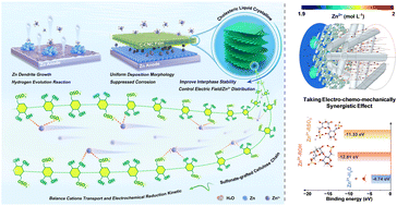 Graphical abstract: Developing an electro-chemo-mechanically synergistic effect via the cholesteric cellulose crystalline interphase for highly stable flexible zinc metal batteries