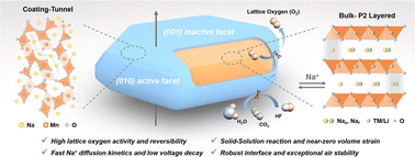 Graphical abstract: Accelerating lattice oxygen kinetics of layered oxide cathodes via active facet modulation and robust mechanochemical interface construction for high-energy-density sodium-ion batteries