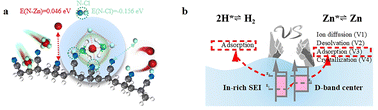 Graphical abstract: A single ion conductive “plasticine-like” solid electrolyte combined with a modulated d-band center of interfacial zinc atoms for highly reversible zinc metal anodes