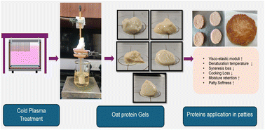 Graphical abstract: Cold plasma enhanced gelation and thermal properties of oat protein and its application in a selected model food system