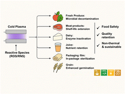 Graphical abstract: A comprehensive review on cold plasma applications in the food industry