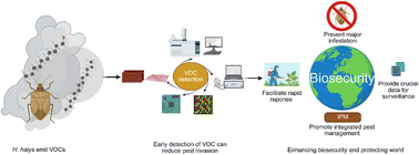 Graphical abstract: Advancing biosecurity: progress and prospects of volatile organic compound (VOC) detection for invasive pest and pathogen surveillance