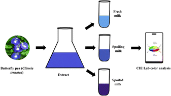 Graphical abstract: Dual-indicator approach for real-time milk freshness detection using butterfly pea anthocyanins and riboflavin fluorescence