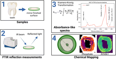 Graphical abstract: New insights into non-contact reflectance IR mapping of teeth
